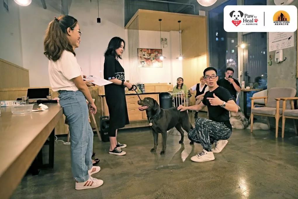 用生命影响生命朗诵央视,用生命影响生命手语朗诵