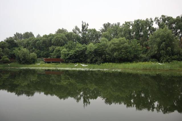 长白山风景区自驾最佳路线图,自驾游长白山路好走吗