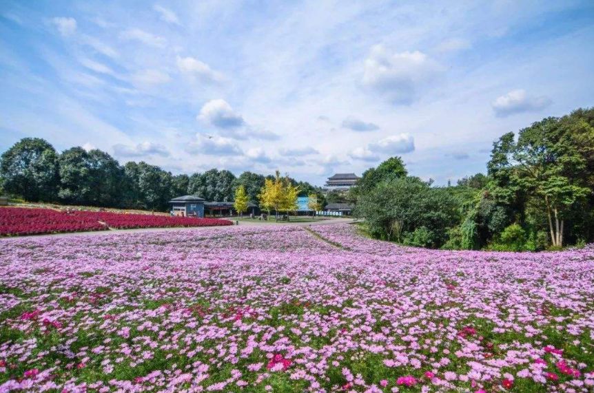成都出发高铁8小时内目的地,成都出发高铁直达的旅游景点