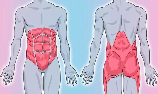 平板支撑可以练腹直肌吗,平板支撑每天练多久合适