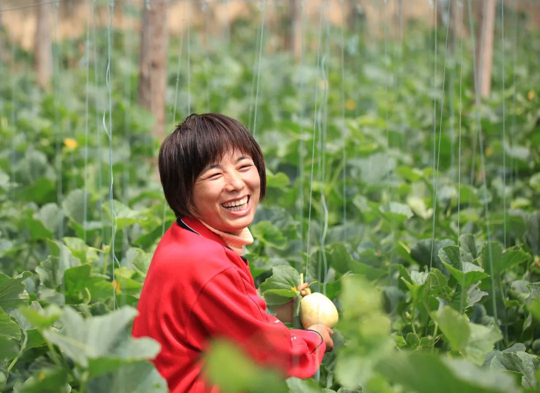 绥化发展规划,绥化高质量发展