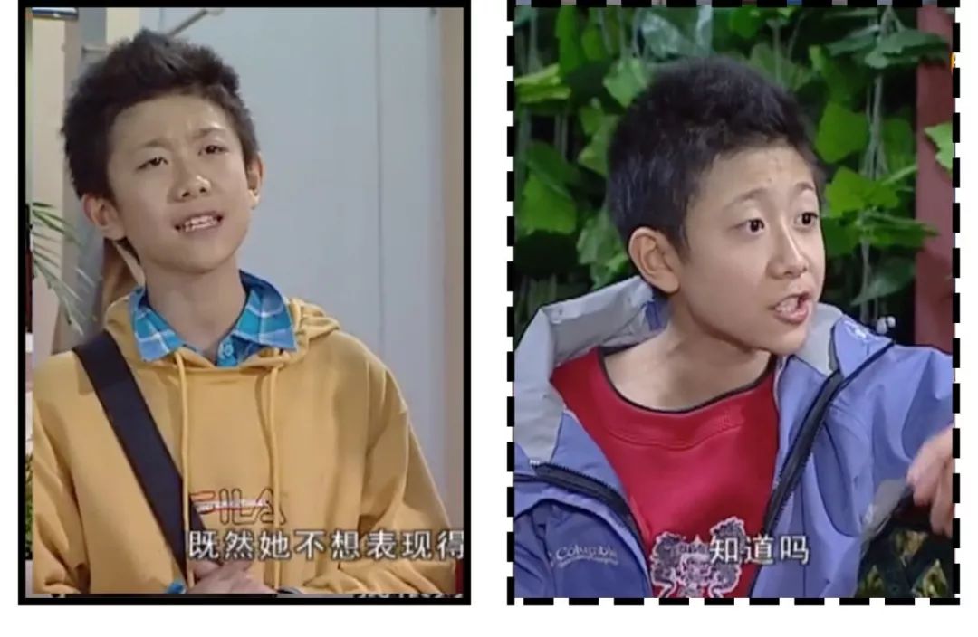 家有儿女长大后回忆,家有儿女经典回忆录