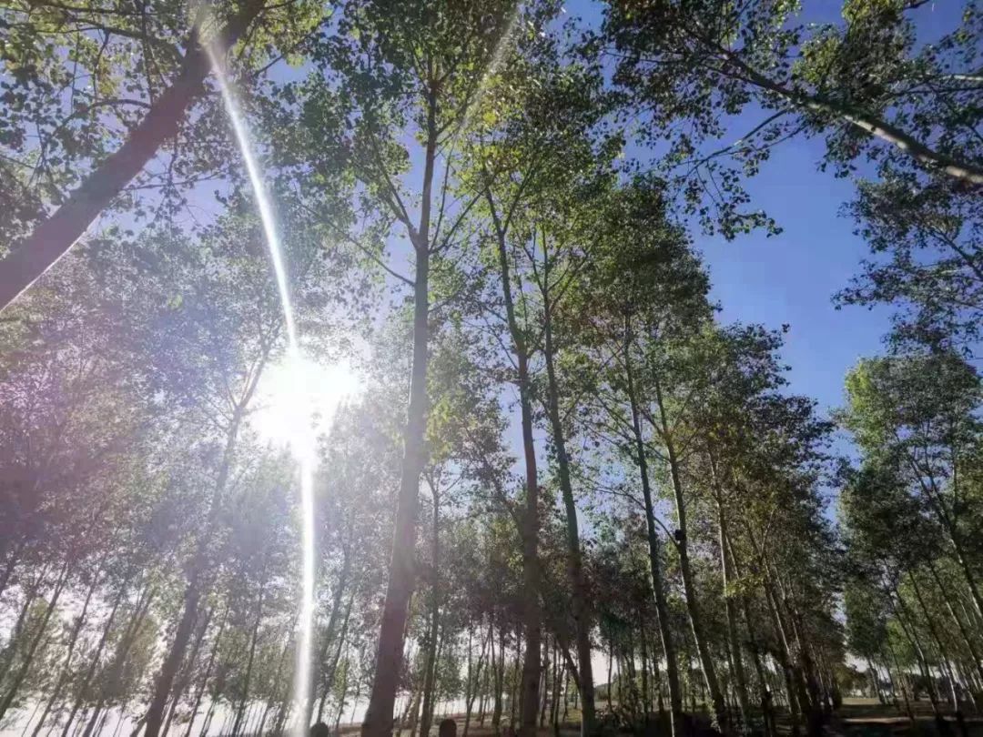 嘎日迪木屋别墅,嘎日迪农家乐