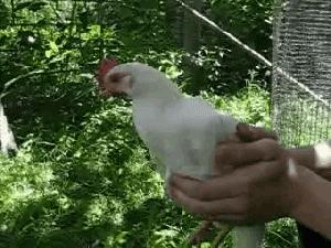 steam买游戏真实现状,为什么steam会自己买卖东西