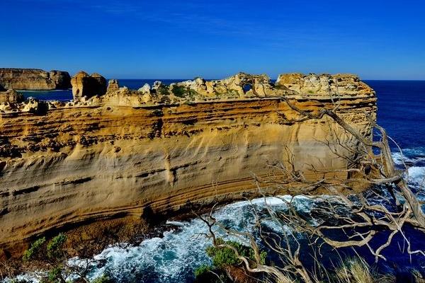 办澳洲签证要多少钱,澳洲留学签证23年8月被拒的几率