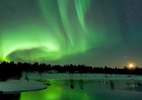 遛狗师一个月挣多少钱,遛狗师一年的工资