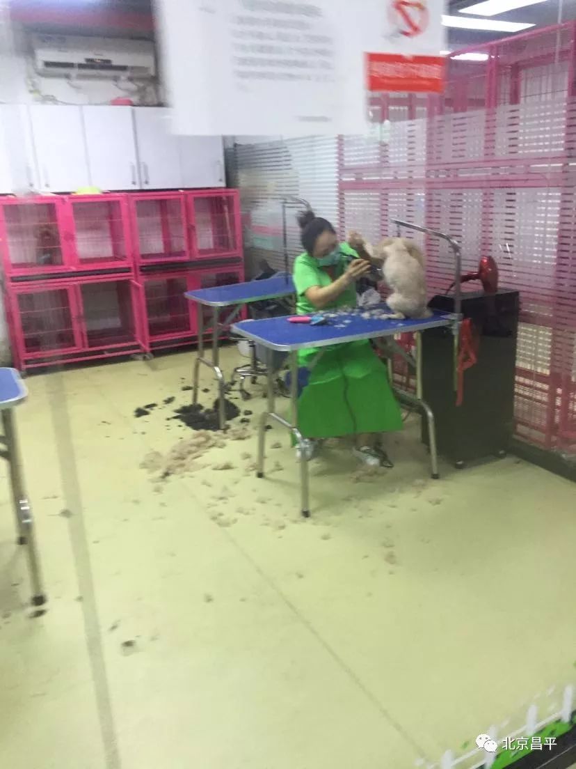 昌平区投诉举报电话,昌平区各种投诉电话