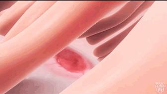 月经干净第1天同房，女朋友肚子里的孩子是不是他的？