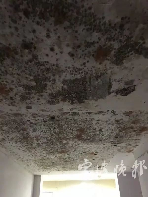 又是这家开发商!才交付两个多月的小区,地下室看着比老小区的还吓人