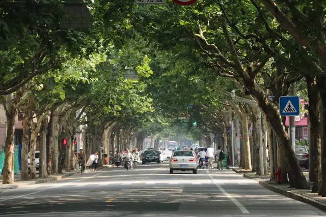 上海松江9号线路名,松江话讲松江历史