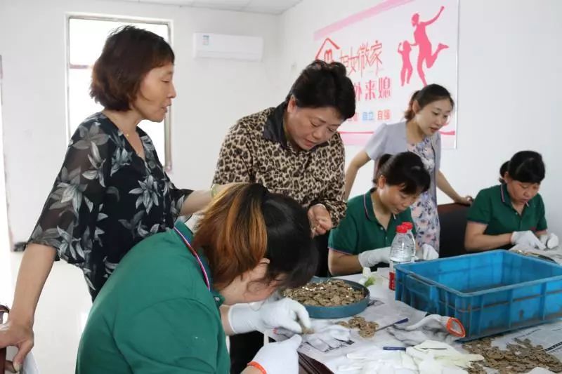 寻访三八红旗手精神|王红妹：她让*党**徽在农村的土地上闪光