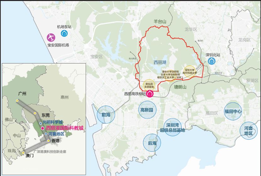 你为什么错过深圳湾,错过深圳