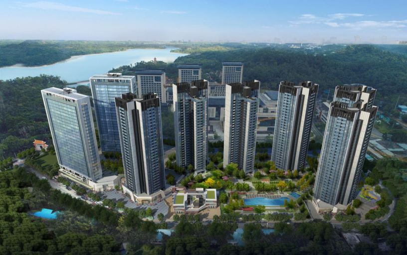 你为什么错过深圳湾,错过深圳