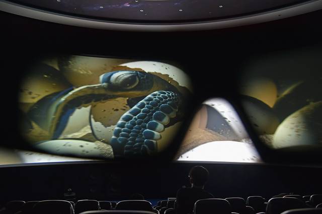 辽宁最刺激的水上乐园,抚顺皇家海洋乐园过山车