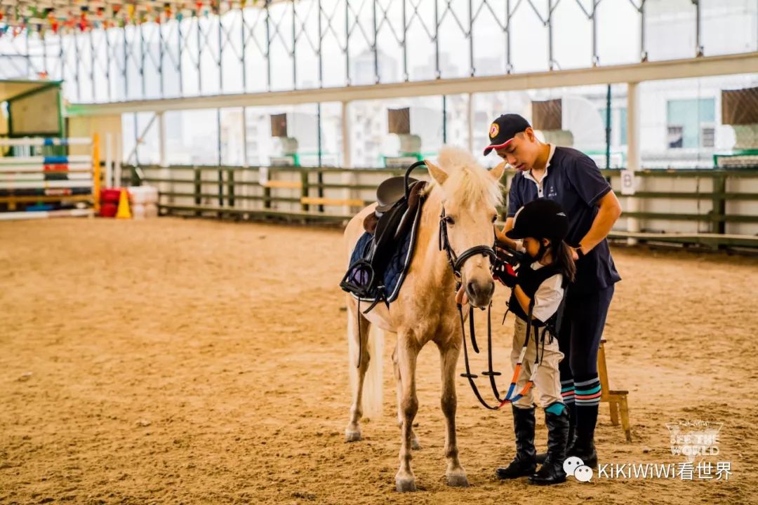 舟山威斯汀打卡攻略,舟山威斯汀和海上丝绸哪家好