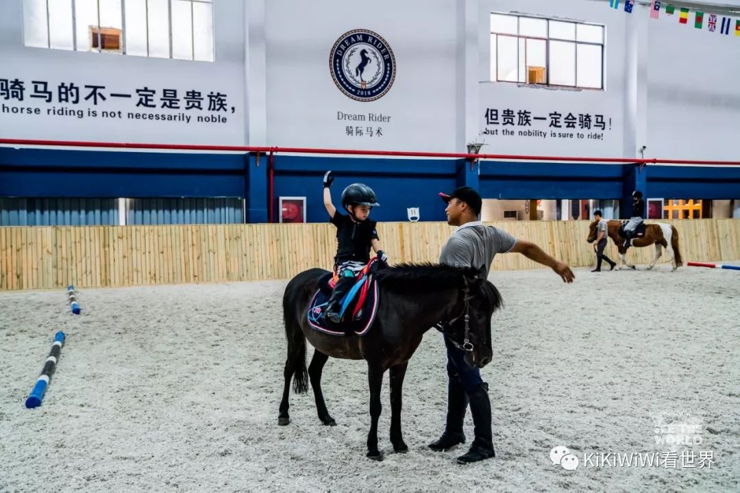 舟山威斯汀离普陀山远吗,舟山威斯汀对应的岛