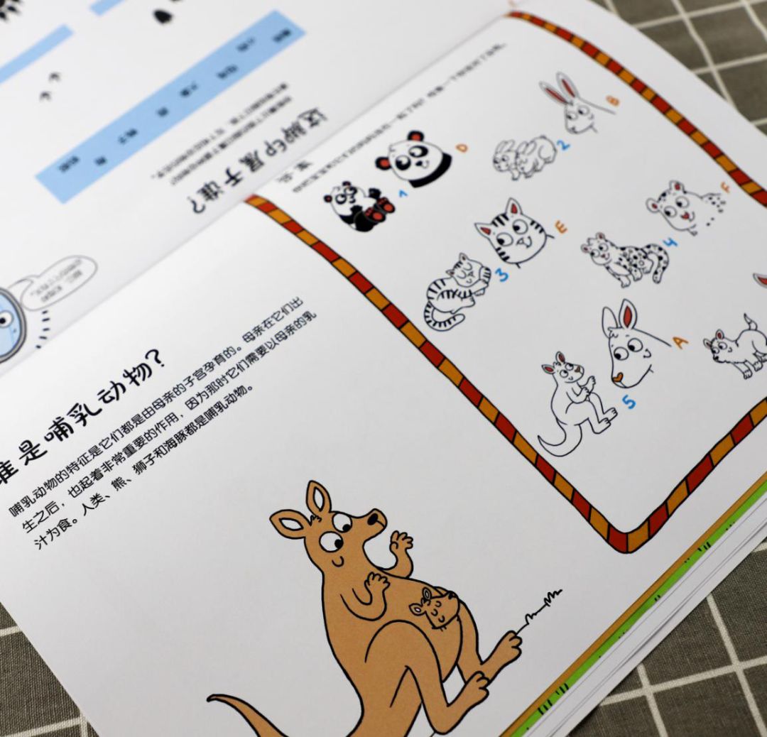 地理启蒙游戏,好玩的益智知识游戏