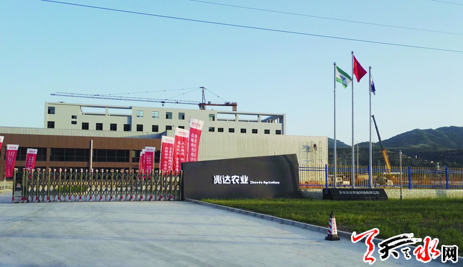 天水兆达核桃巧克力项目建设见闻