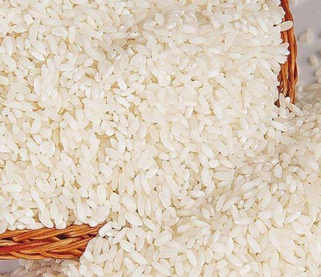 大米生虫怎么办最简单的方法,大米生虫怎么办最有效方法