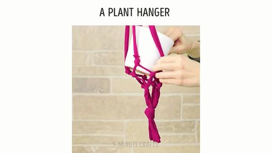 在家种菜,不用土不用肥,“一张纸”就搞定