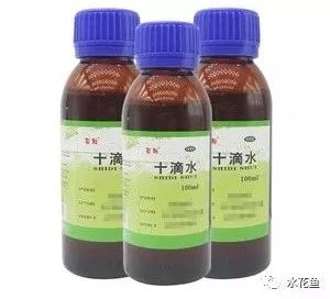 鲢鳙鱼出血病,花白鲢败血症