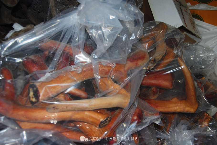 来到吉春制药，才饮“鹿司令”，又尝“太后餐”