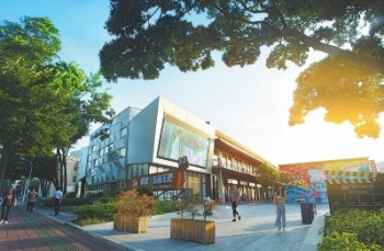 借鸡生蛋蛋生鸡,借鸡生蛋经济特区