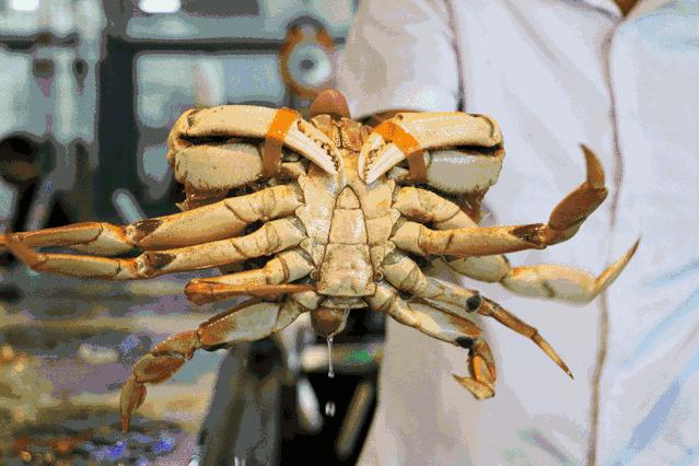 香港tvb经典打卡,香港湛江海鲜