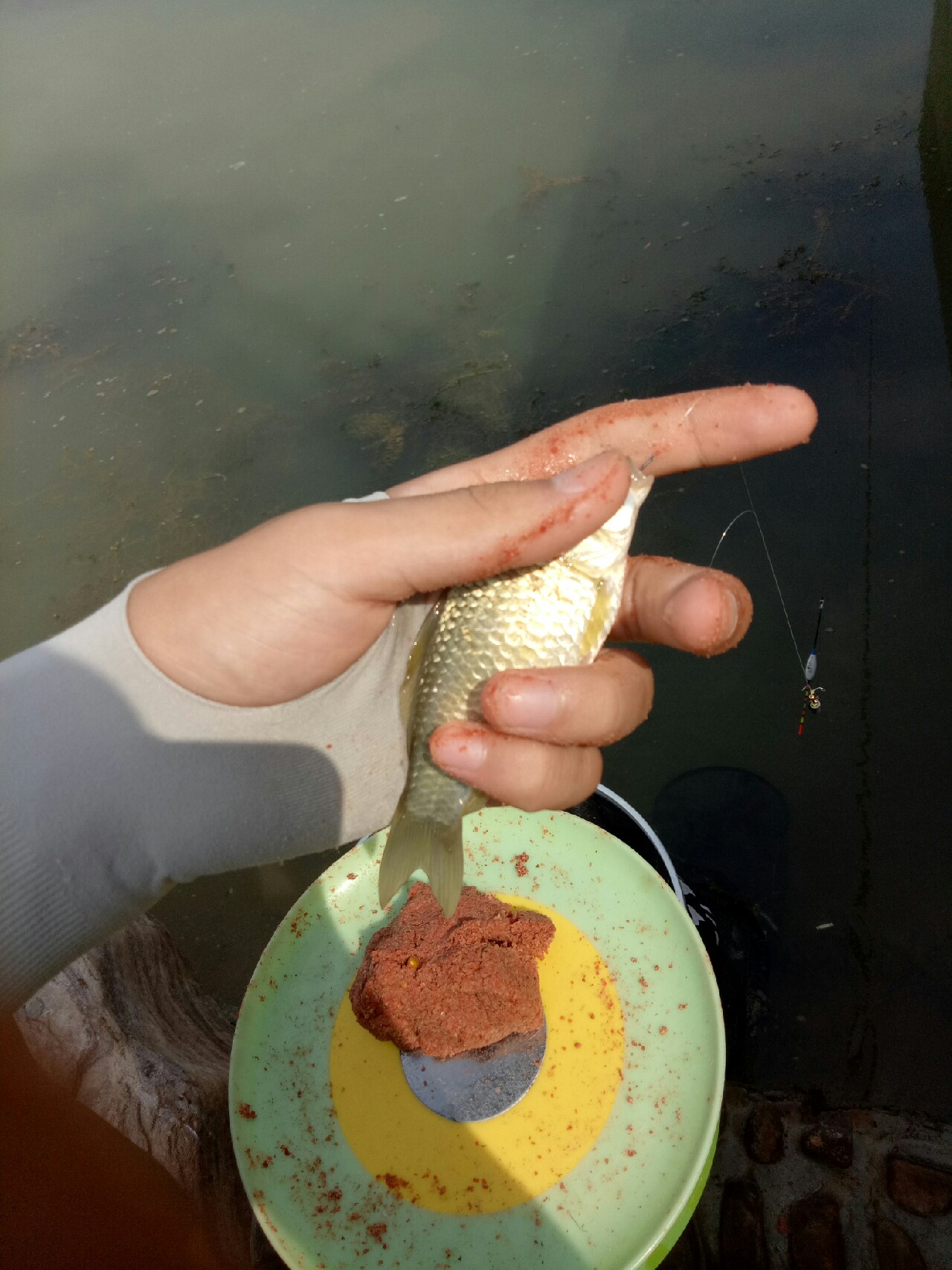 钓鱼人818攻略,钓鱼人开饵料