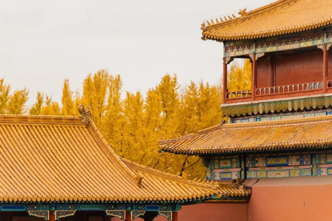 从北京到俄罗斯全过程,北京到俄罗斯沿途风景视频