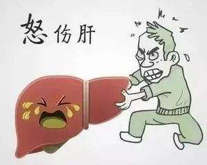 生气真的可以气死人吗,生气对身体伤害最大的是哪里