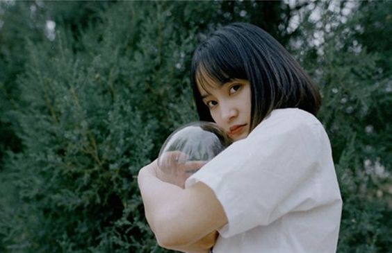 新手入坑相机录像,谈谈入坑的几台胶片机