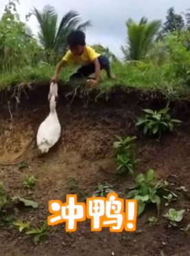 官宣！马云来郑州，要干这些事；警方悬赏50000元，看见他请报警丨大河早新闻（语音版）