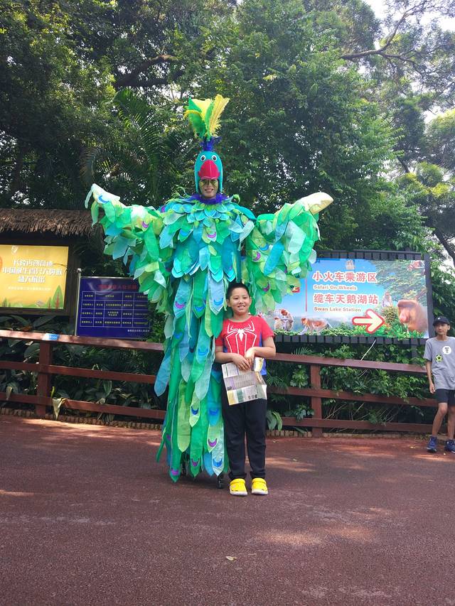 广东长隆亲子游推荐4-5天游,北京到广州长隆攻略亲子游三天