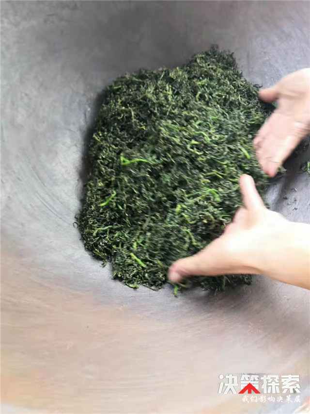 内乡县王店镇:炒出“高价”芦笋茶加快脱贫步伐