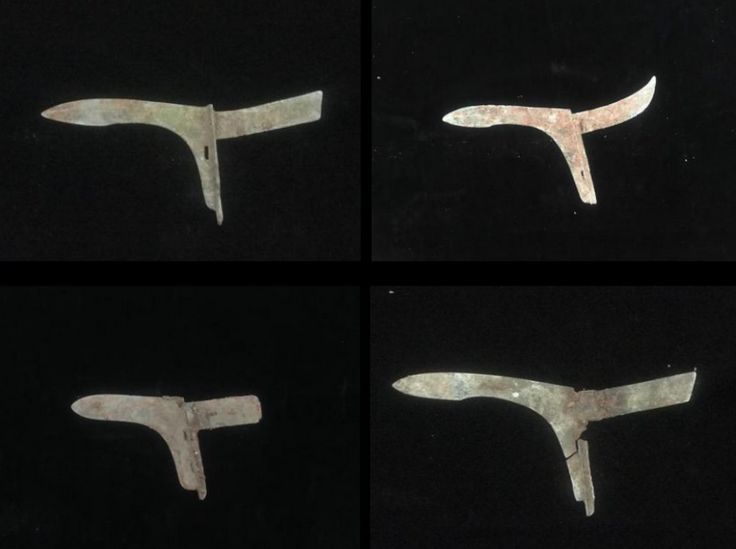 周王室典籍遗失在哪里？