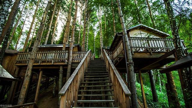 中亚五国俄罗斯自驾游,中亚五国旅行