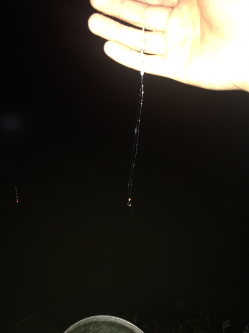 水库夜钓鲤鱼草鱼视频,水库夜钓大鲤鱼