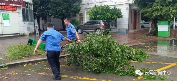 白鹿出战,白鹿来袭农田