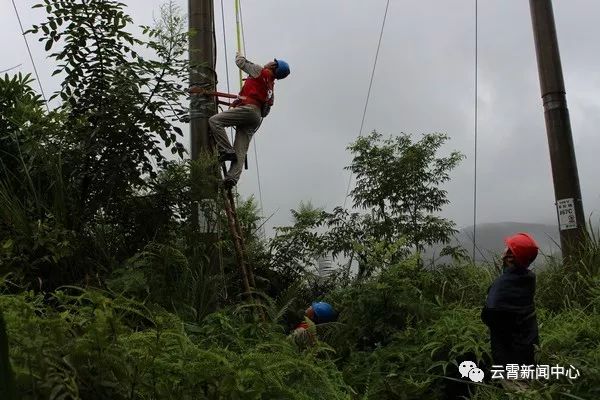 白鹿出战,白鹿来袭农田