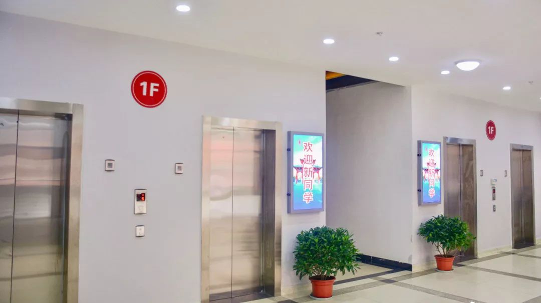 川大学习日常,川大的食宿条件