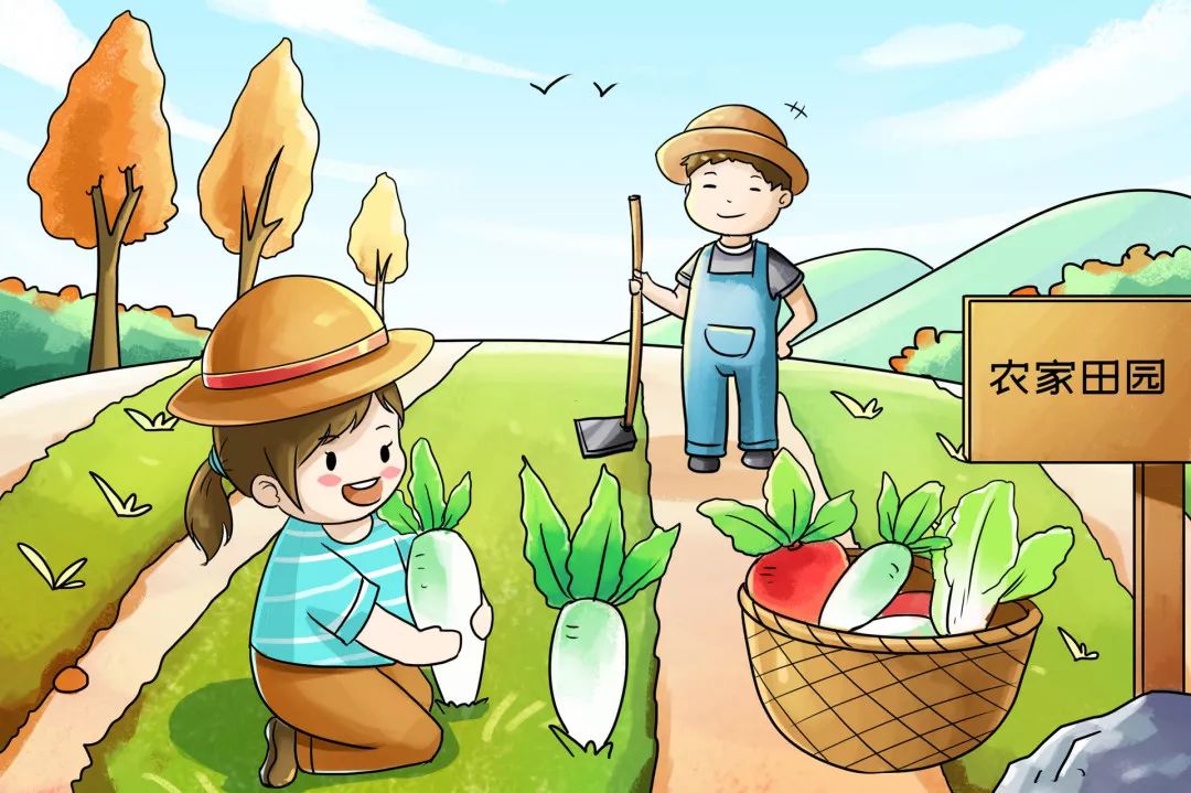 健康生活从日常饮食细节开启,最健康的生活方式和饮食方法