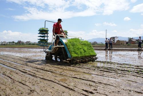 专访保山市委副书记、市长杨军以杨善洲精神推动保山高质量跨越发展