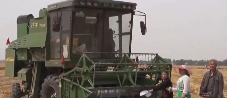 夏邑县补贴名单,夏邑县补贴发放时间