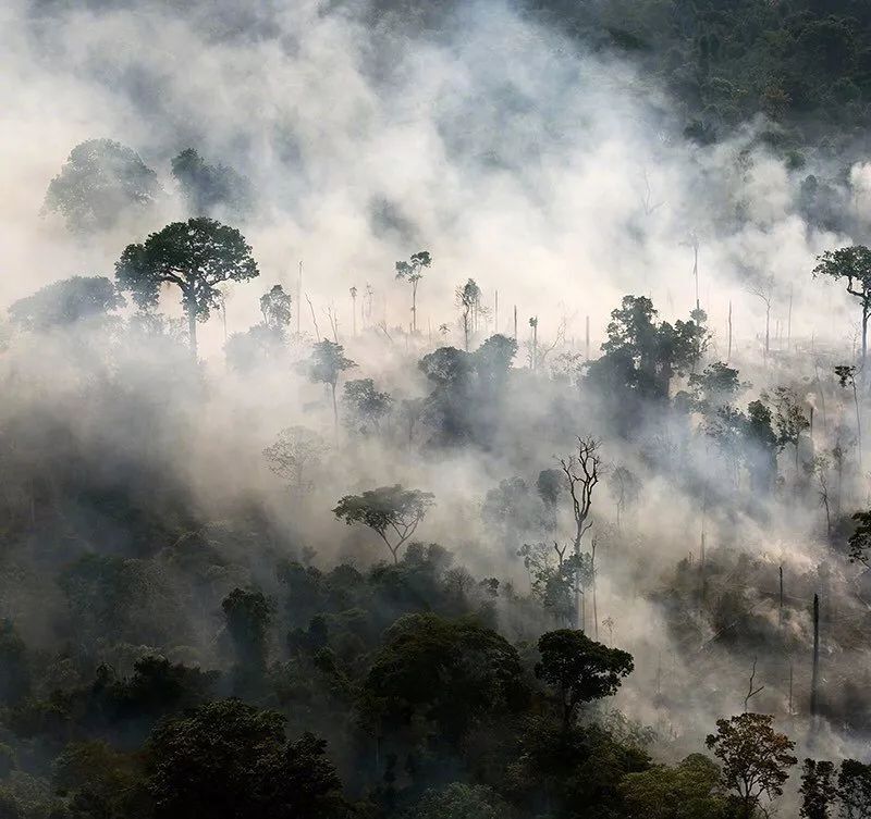 celine香水彰显100ml多少钱,celine的100ml香水