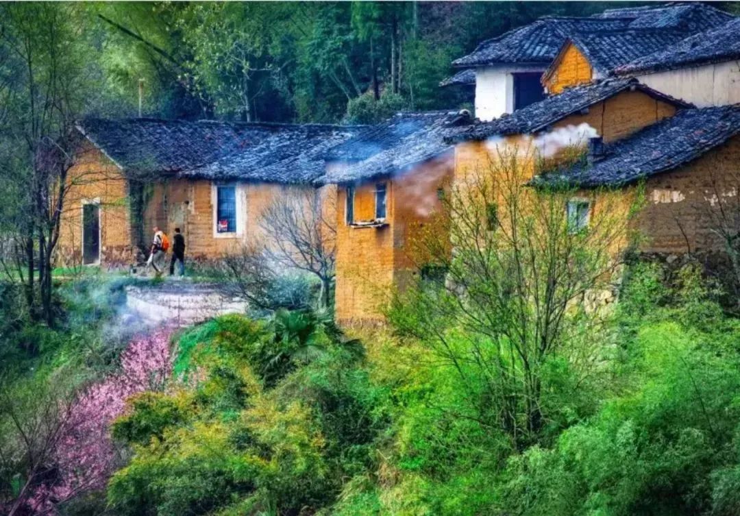 谁说江南无金秋？这座高铁直达的小县城靠一间仙气民宿，就撩到了无数隐居客