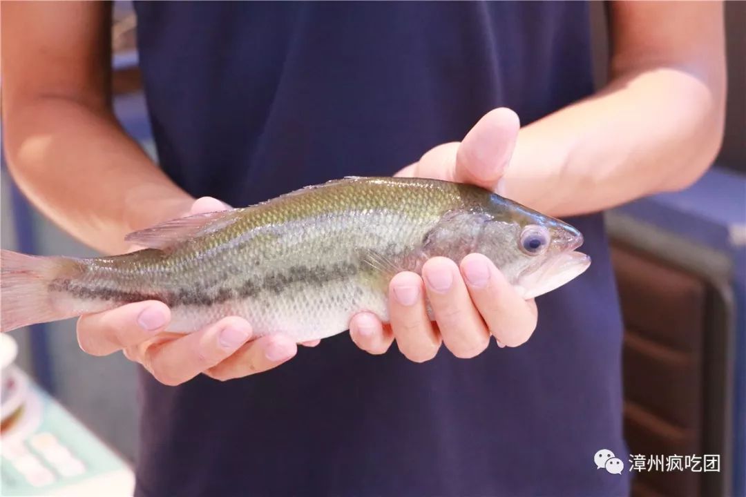 100元左右吃到豪华大餐！聚餐太合适！6款蛙锅！2款酸菜鱼！实力出众