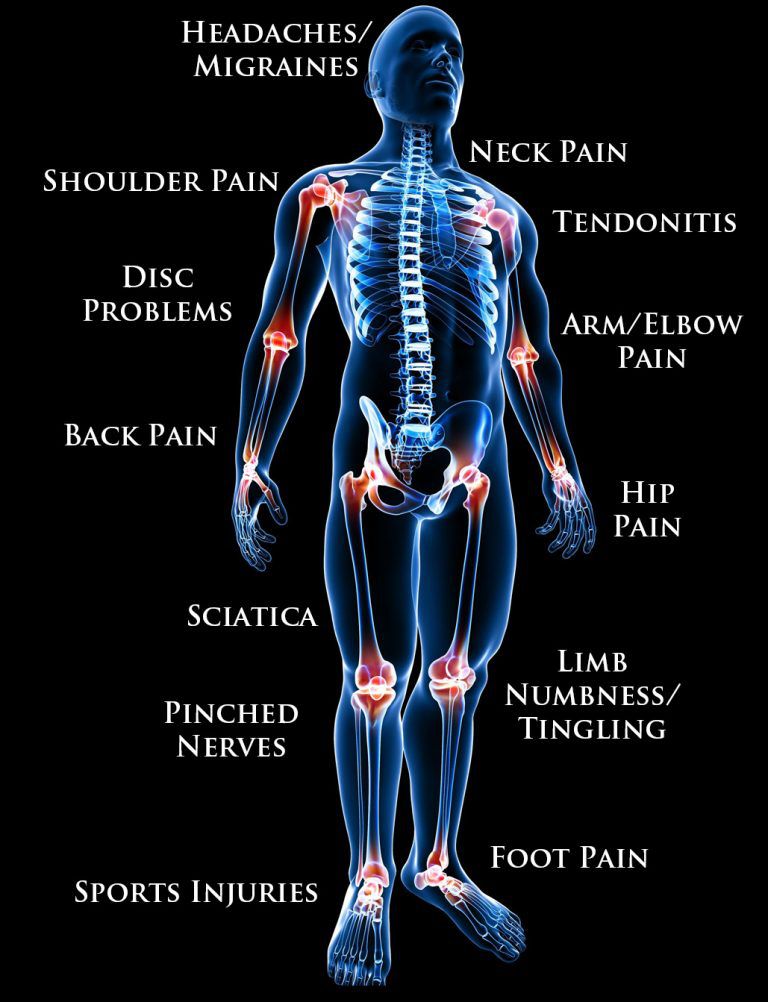 浅谈神经解剖学与生理学300字,脊骨神经医学