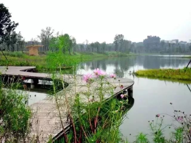 回归大自然呼吸天然氧吧,回归大自然清新空气