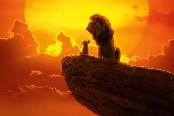 生活的真相在哪里能看,生活的真相是命运